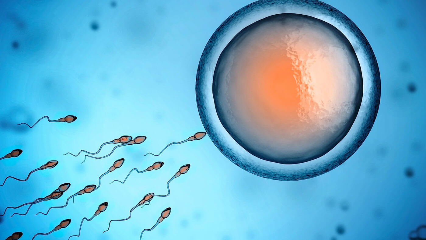 Способы увеличения объёма спермы